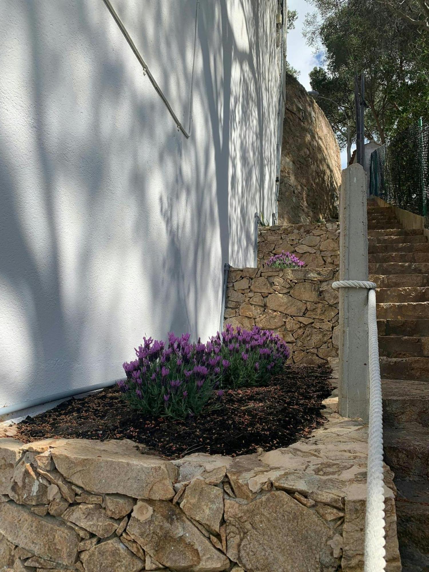 Appartamento T1- Family Getaway 50m From The *