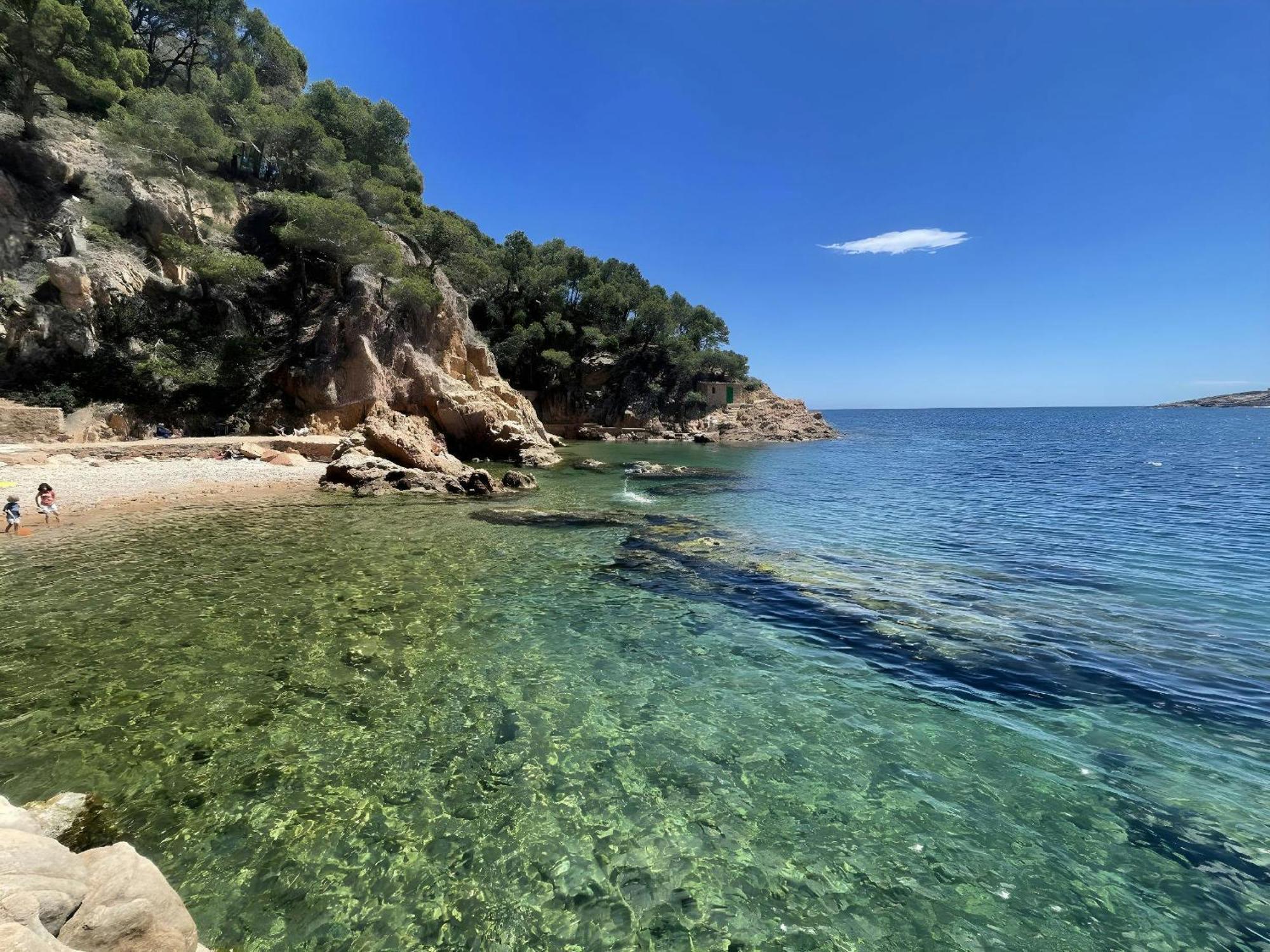 Appartamento T1- Family Getaway 50m From The *